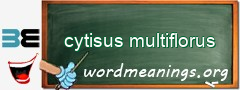 WordMeaning blackboard for cytisus multiflorus